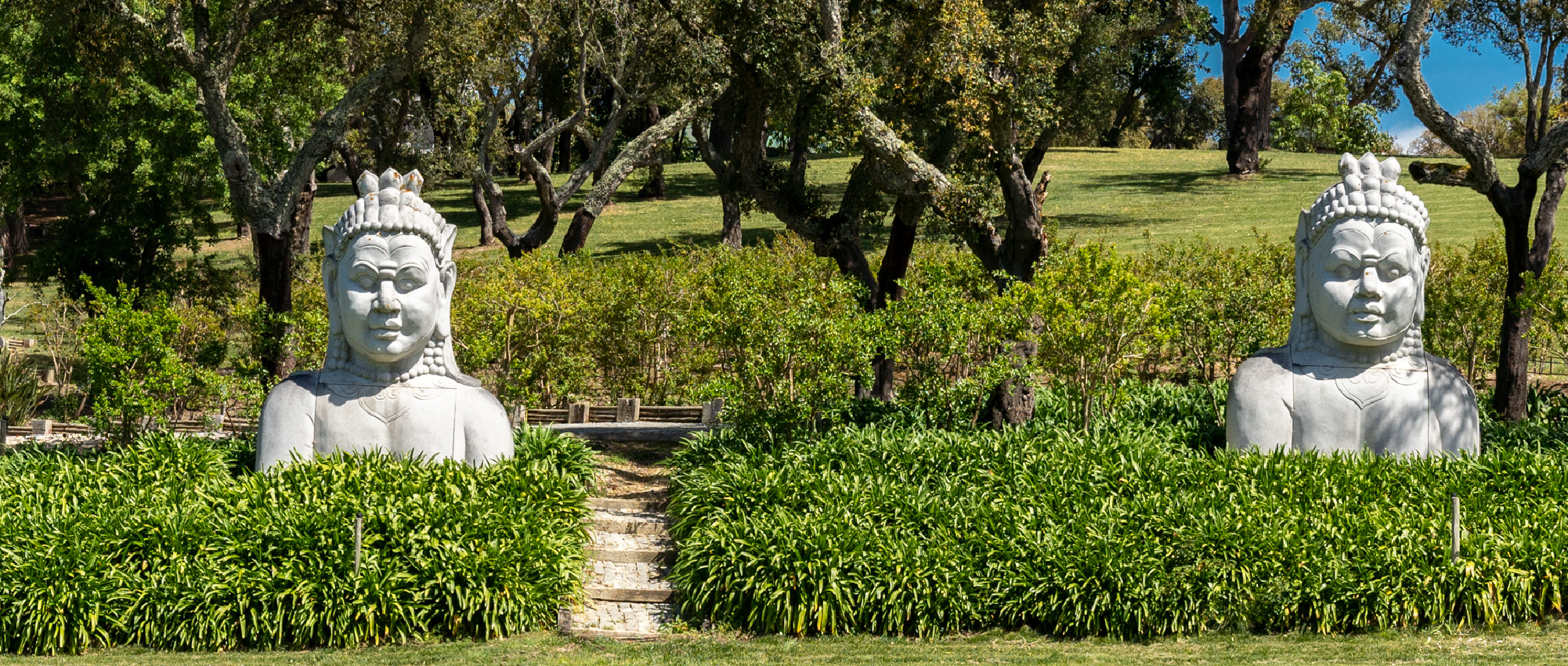 Guia para os residentes em lar de idosos em Bombarral