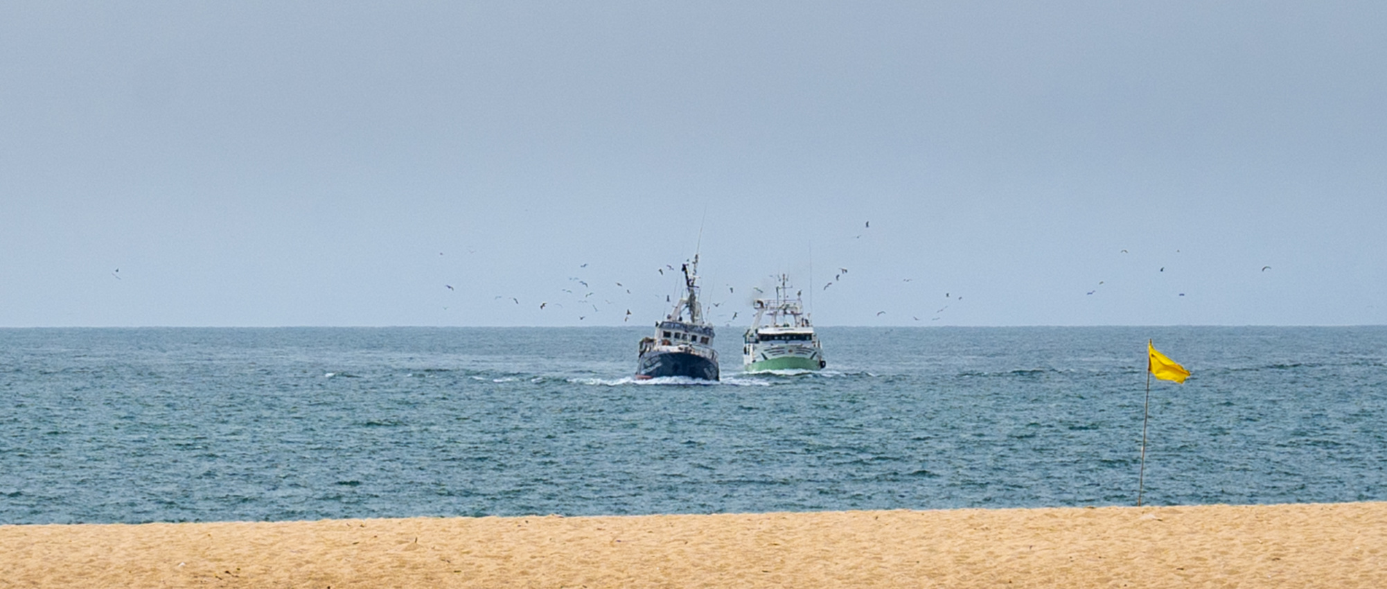 Guia para residentes em lares de idosos na Nazaré Guia para residentes em lares de idosos na Nazaré