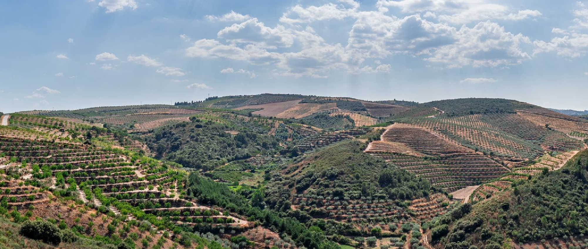 Guia para os residentes em lar de idosos em Valpaços Guia para os residentes em lar de idosos em Valpaços