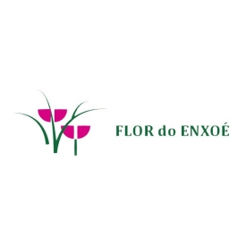 Flor do Enxoé - Associação Solidariedade Social Vale Vargo